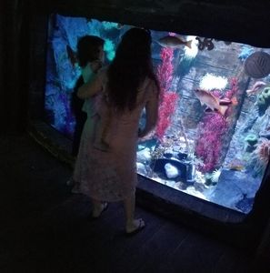 Meet your Posher, Brandonn